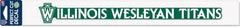 Illinois Wesleyan University 2'' x 17'' Perfect Cut Decal