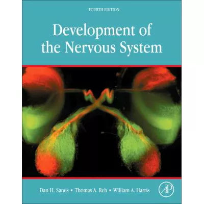 Development of the Nervous System