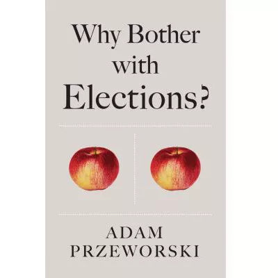 Why Bother With Elections?