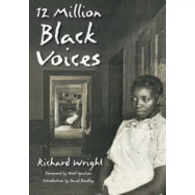 12 Million Black Voices